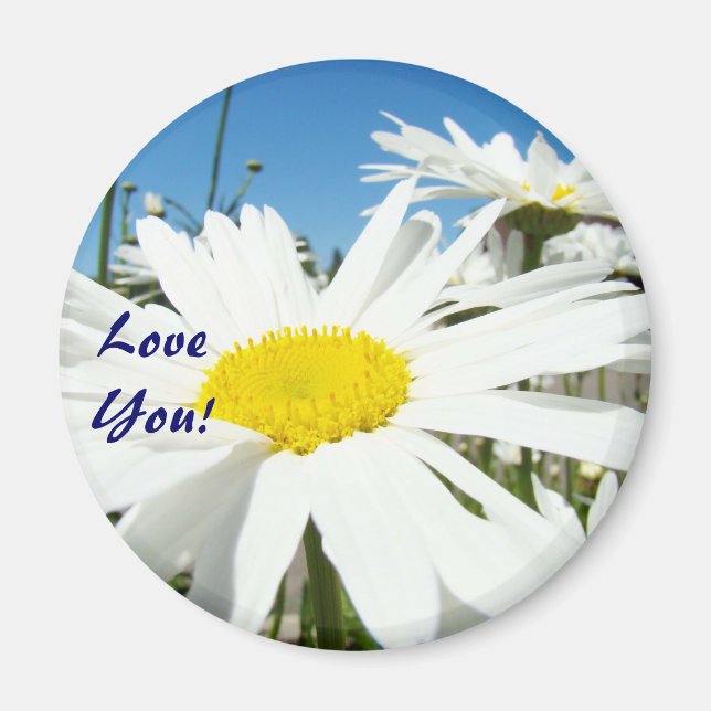 ¡Te Amo! imanes Flores de Margarita Blanca Cielo A (Frente)