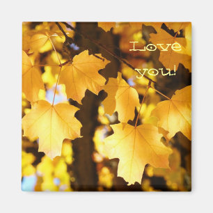 ¡Te Amo! imanes Hojas Amarillas de Otoño naturalez