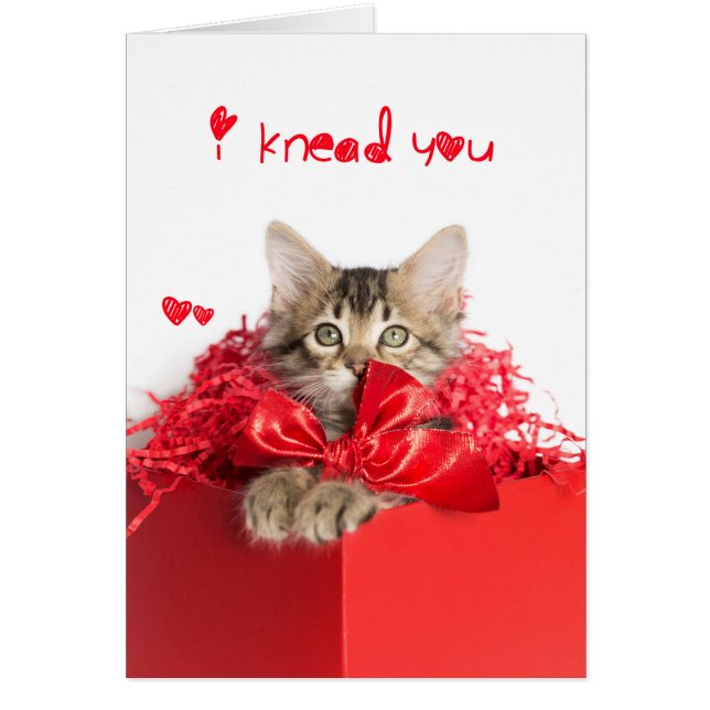 Te amo Kitten (Frente)