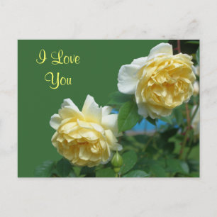 Te Amo La Postales De Flower Flower Roses Amarilla
