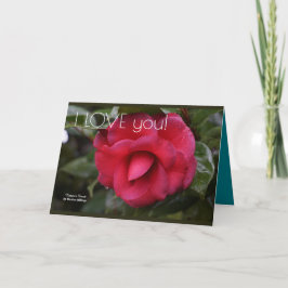 "Te amo" la tarjeta de felicitación