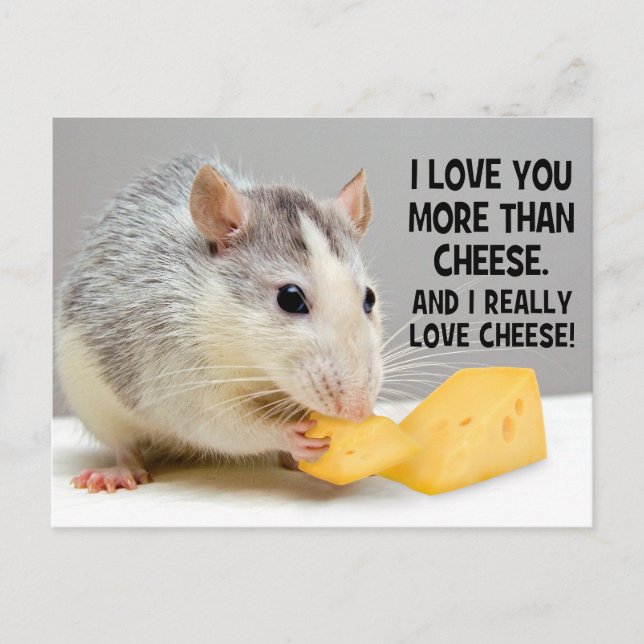 Te Amo Más Que Queso Rata Mascota Postal (Anverso)