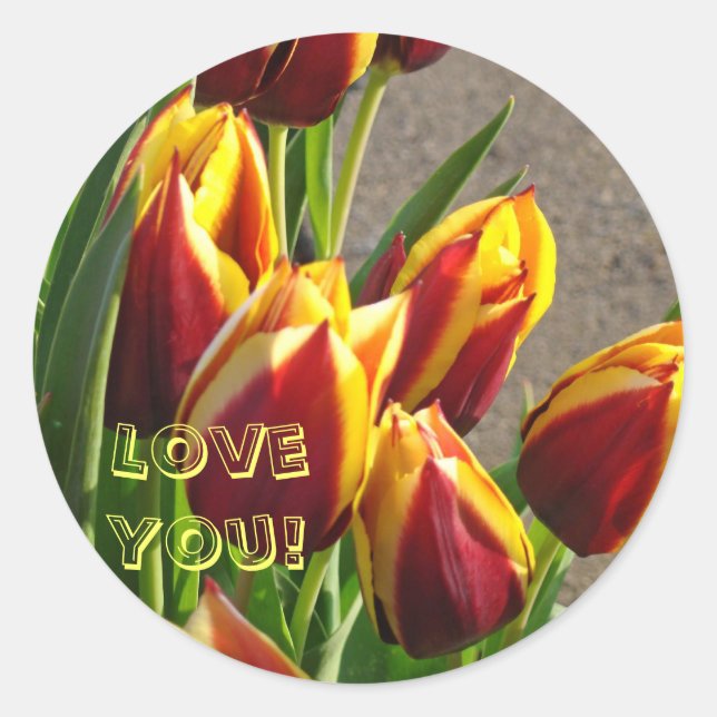 Te Amo! pegatinas Tulipanes Flores Rojas Amarillas (Anverso)