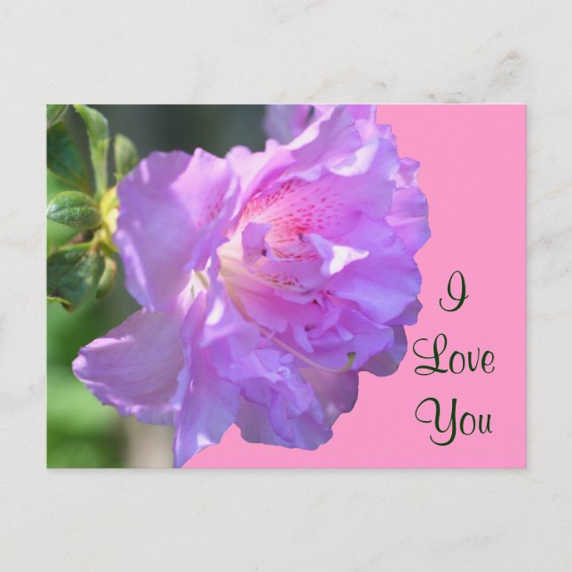 Te Amo Pink Azalea Flower Postal (Anverso)