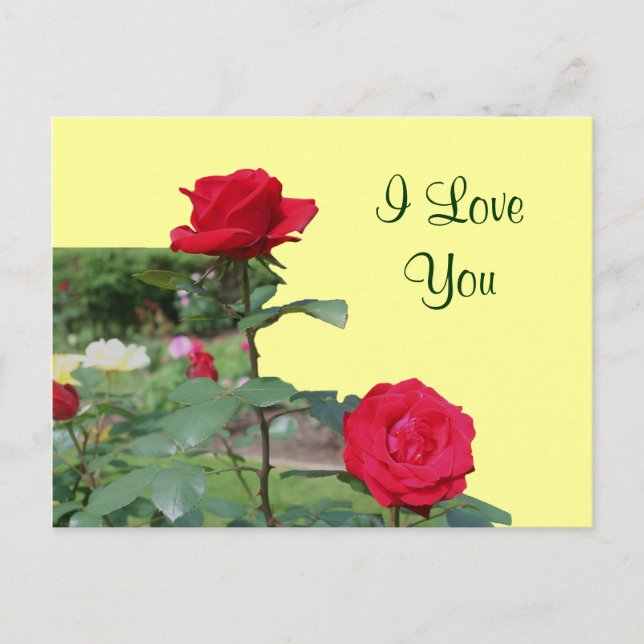 Te Amo Postales De Flower Flower Roses Rojas (Anverso)