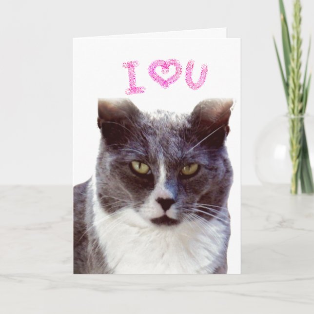Te Amo San Valentín De Tu Tarjeta De Saludo De Gat (Anverso)