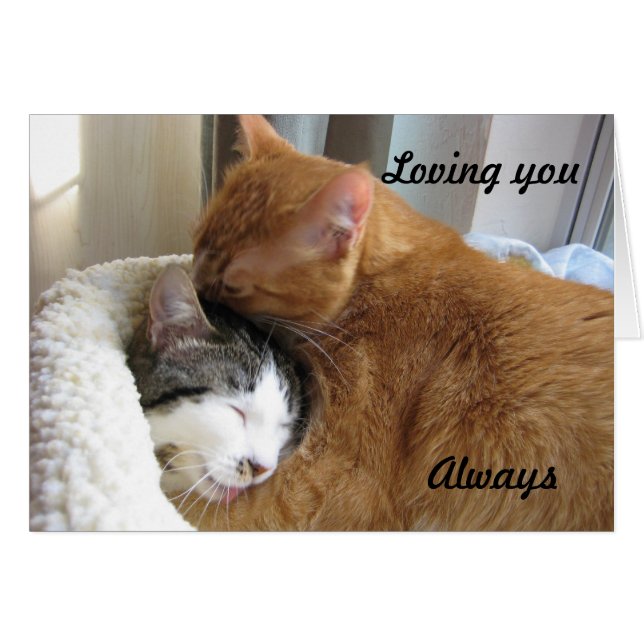 Te amo, siempre 036 (Anverso (Horizontal))