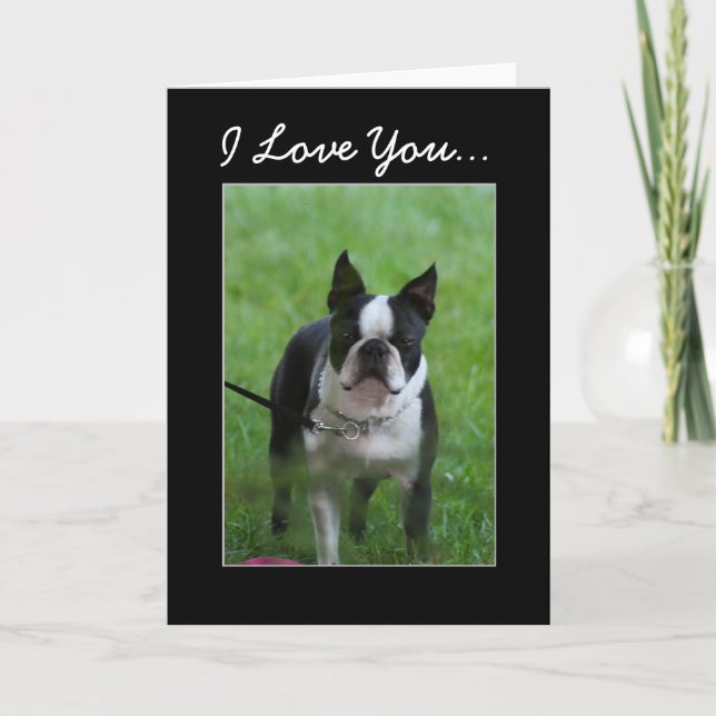 Te amo tarjeta de saludo Boston Terrier (Anverso)