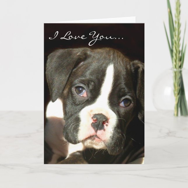 Te amo tarjeta de saludo de cachorro boxer (Anverso)