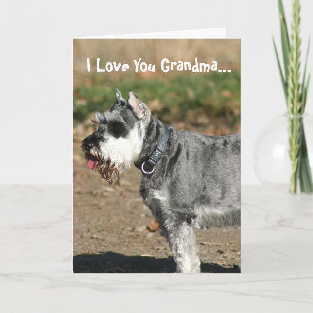 Te amo tarjeta de saludo de perro Schnauzer abuela (Anverso)