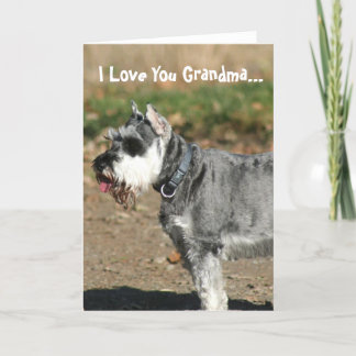 Te amo tarjeta de saludo de perro Schnauzer abuela