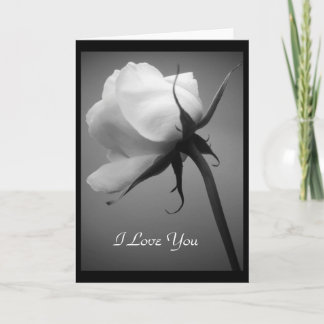 Te Amo - Tarjeta Rosa Blanca
