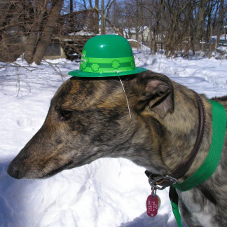 "¡Te desafío a una carrera!" Tarjeta