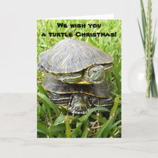 ¡Te deseamos un Navidad de tortugas!