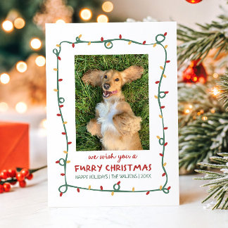 Te Deseamos Una Navidad Peluda Foto De Mascotas