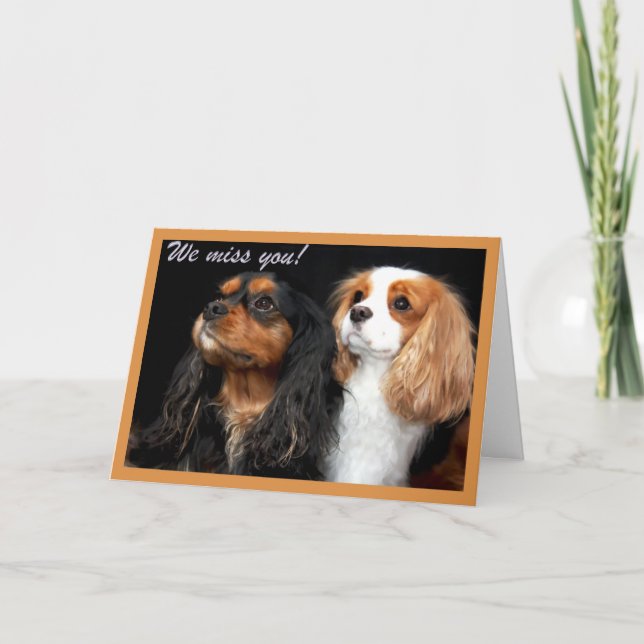 Te echamos de menos tarjeta Cavalier King Charles  (Anverso)