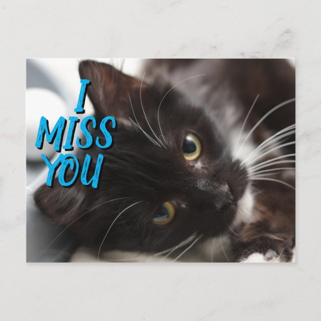 Te echo de menos la postal de gato negro/blanco (Anverso)