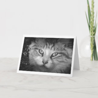 Te echo de menos la tarjeta de felicitación - B&W