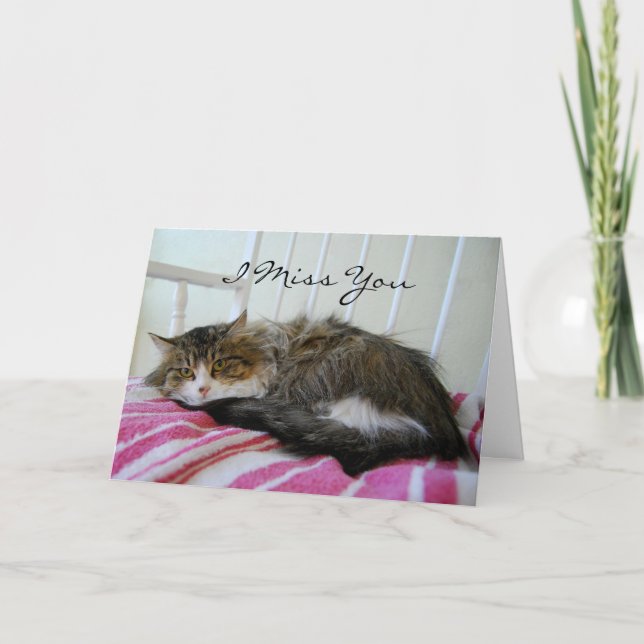 Te echo de menos, tarjeta de gato Maine Coon (Anverso)