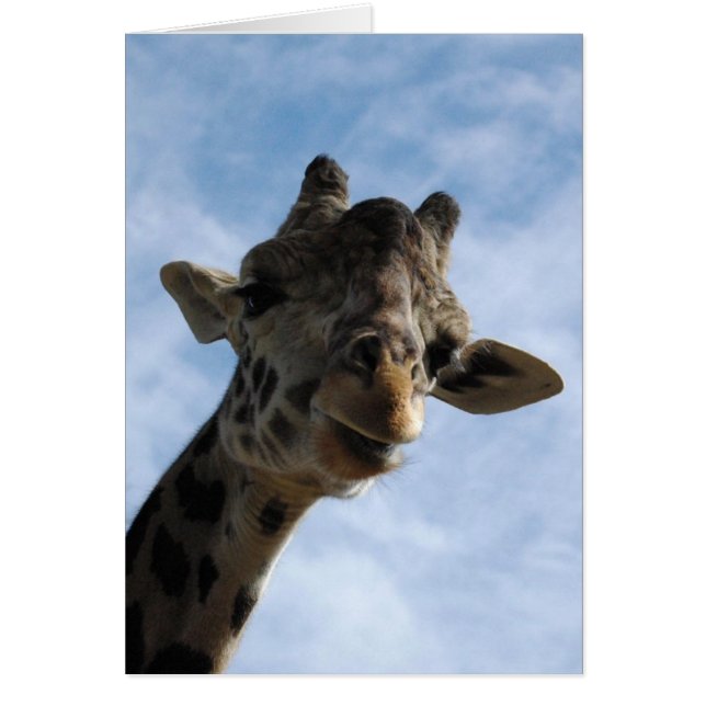 ¡Te estamos mirando! (Frente)