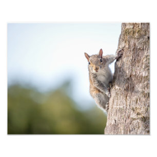 ¡Te estoy mirando! Impresiones fotográficas de ard