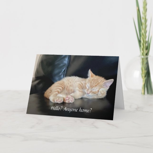 ¿Te extraña la tarjeta de Naranja Kitten de cualqu (Anverso)