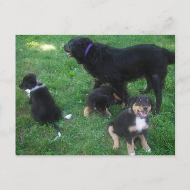 Te extrañamos la postal (Anverso)