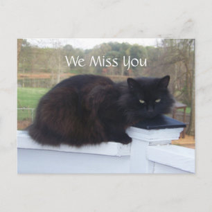 Te Extrañamos La Postales De Kitty