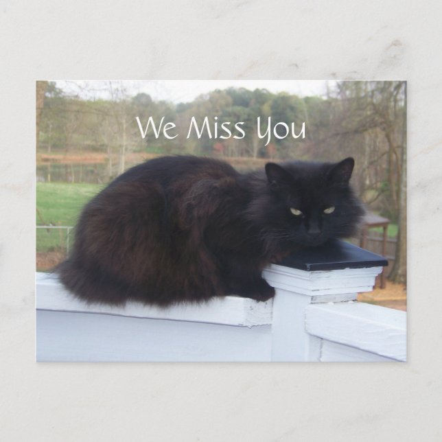 Te Extrañamos La Postales De Kitty (Anverso)