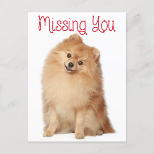 Te extrañaré la tarjeta postal de saludo de Perro 