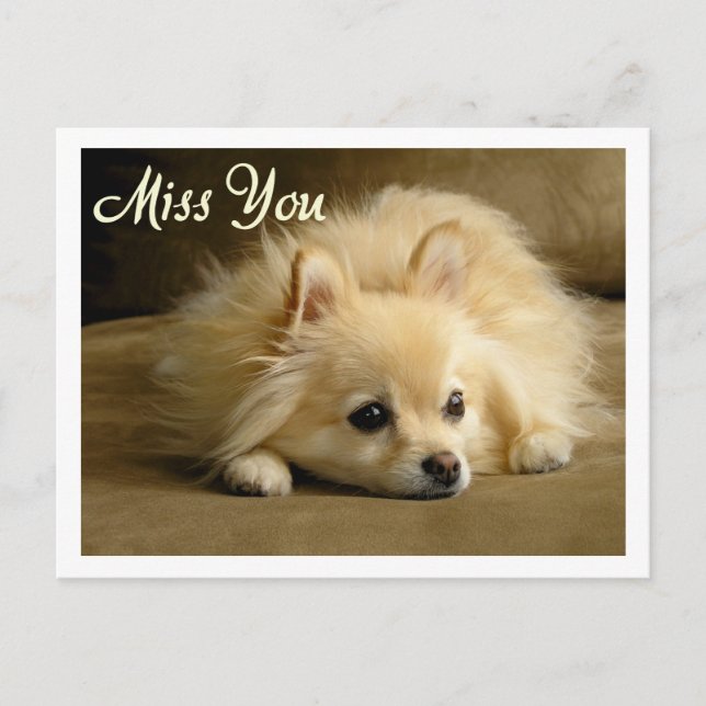 Te extrañaré la tarjeta postal de saludo de Perro  (Anverso)