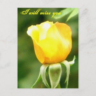 Te extrañaremos/Tarjeta postal para cualquier ocas