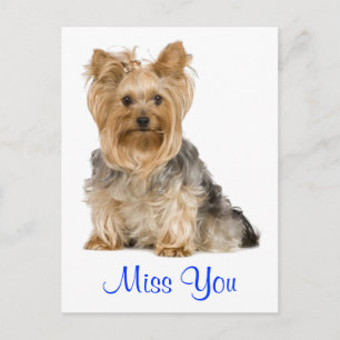 Te Extraño Tarjeta Postal De Cachorro De Perro Ter