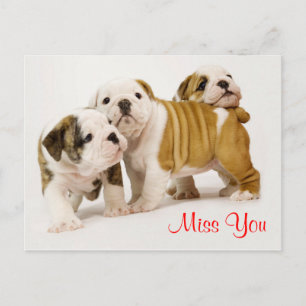 Te Extraño Tarjeta Postal de Cachorros Bulldog