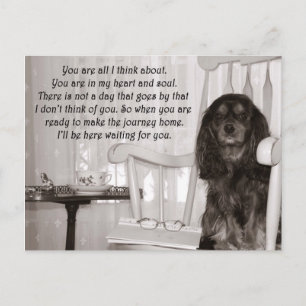 Te Extraño: Una Tarjeta de Cavalier King Charles S