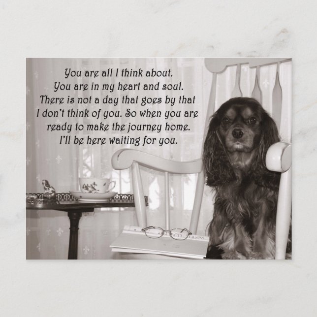 Te Extraño: Una Tarjeta de Cavalier King Charles S (Anverso)