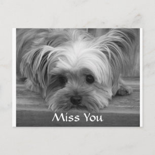 Te extraño Yorkshire Terrier Cachorro Tarjeta Post