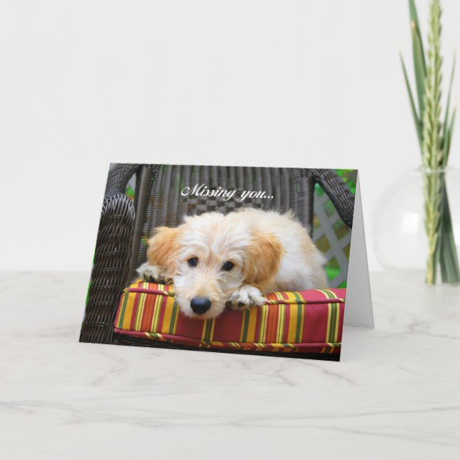 Te falta la tarjeta de saludo Golden Doodle (Anverso)