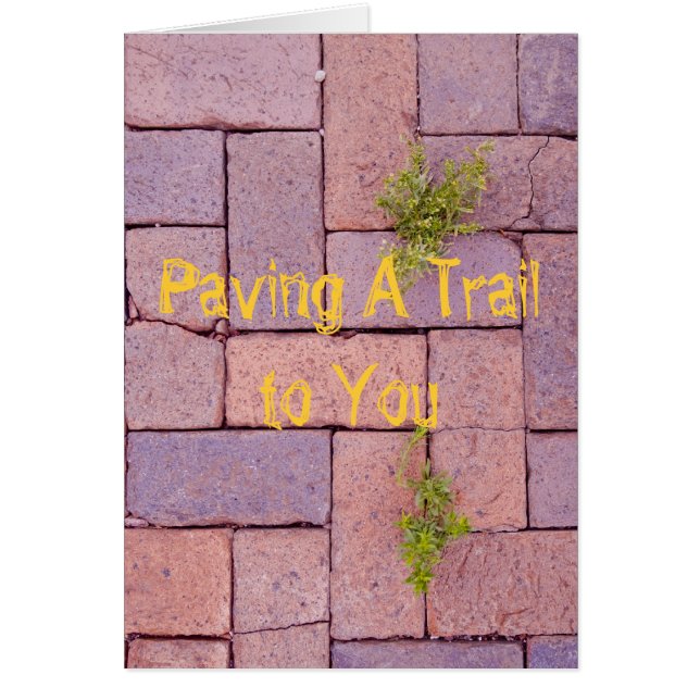 Te Falta Paving Stones Weeds Walkway Photo (Frente)