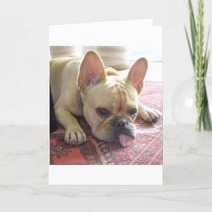 ¡TE FALTA! TARJETA DE BULLDOG FRANCESA