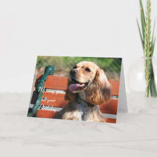 Te falta tu tarjeta de cumpleaños Cocker Spaniel
