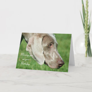 Te falta tu tarjeta de cumpleaños Weimaraner