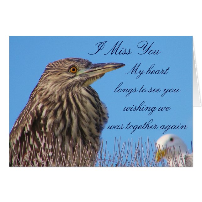 Te faltan_ (Anverso (Horizontal))