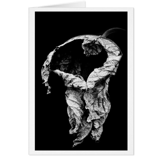 te he esperado (Frente)