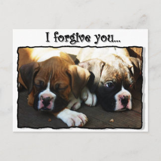 Te perdono la postal de cachorros boxeadores