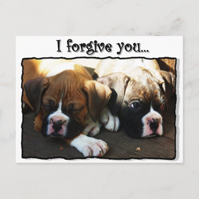 Te perdono la postal de cachorros boxeadores (Anverso)
