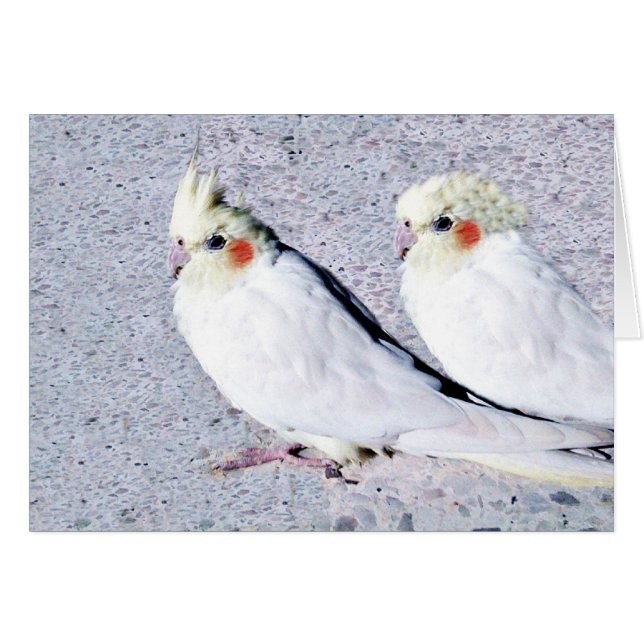 Te queremos.JPG (Anverso (Horizontal))