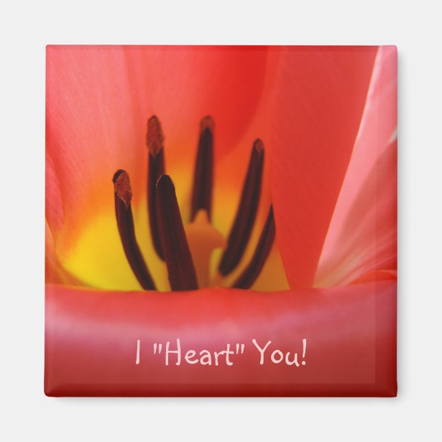 ¡Te "Quiero"! imán Flores de Tulipán ROJAS (Frente)