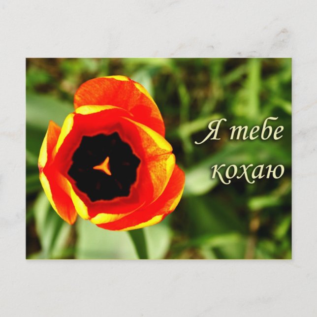 Te quiero postal (Anverso)