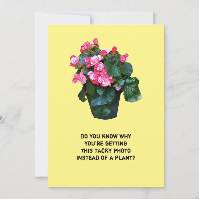 Te recomendamos que te bañes con flores, tarjetas  (Anverso)